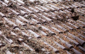 Lewthorn Cross roof cleaning companies