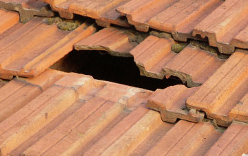 roof repair Lewthorn Cross, Devon